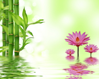 A008577-时尚简约-花类-竹子 荷花 水纹倒影