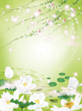 A008692-时尚简约-花类-荷花 垂柳 阳光