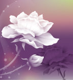 A009678-时尚简约-花卉 荷花