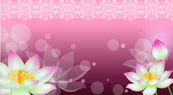 A009780-时尚简约-手绘荷花