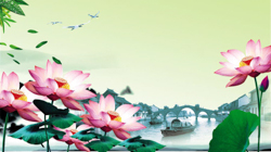 A010614-时尚简约-花类-花朵 花朵摄影 荷花