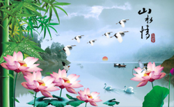 A010615-时尚简约-花类-花朵 花朵摄影 荷花