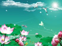 A010616-时尚简约-花类-花朵 花朵摄影 荷花