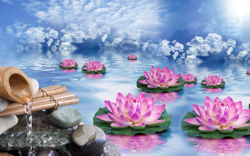 A013644-时尚简约-唯美 水中荷花 水纹倒影