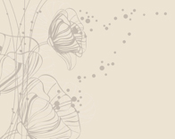 A013674-时尚简约-花类-荷花