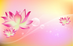 B101-时尚简约-花类-荷花