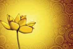 B811-时尚简约-花类-荷花