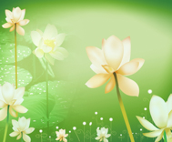 B3085-时尚简约-花类-荷花