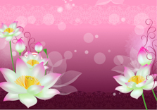 B1183-时尚简约- 荷花