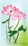 B1805-时尚简约-花类-手绘 荷花