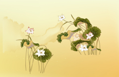 B1847-时尚简约-花类-手绘 荷花