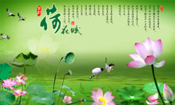 B4400-时尚简约-花卉 荷花