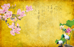 B4467-时尚简约-花卉 荷花 玉兰花