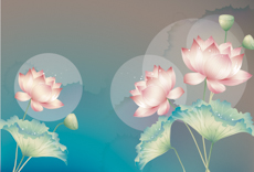 B4673-时尚简约-花类-荷花