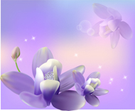 B533-时尚简约-梦幻背景 花纹 底纹 花卉