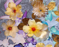 B884-时尚简约-花类-花朵
