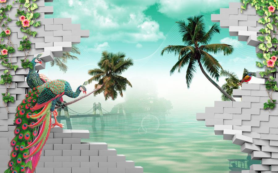 A013411-1112-3D-海边 孔雀
