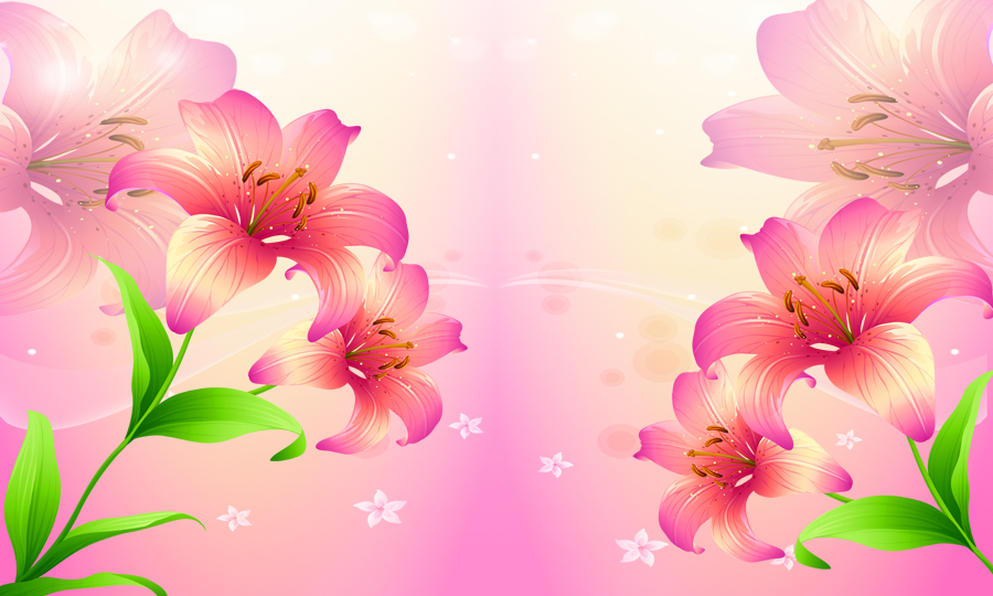 A008582--时尚简约- 花卉-百合花