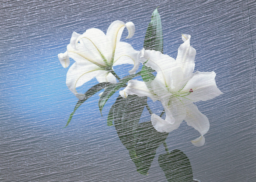 B060时尚简约-百合花