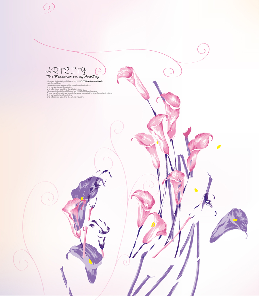 B881 -时尚简约-花类-百合