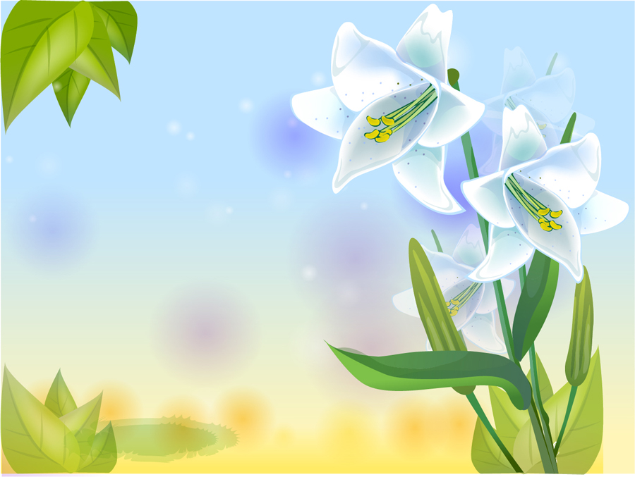 B1177-时尚简约-花类-百合花