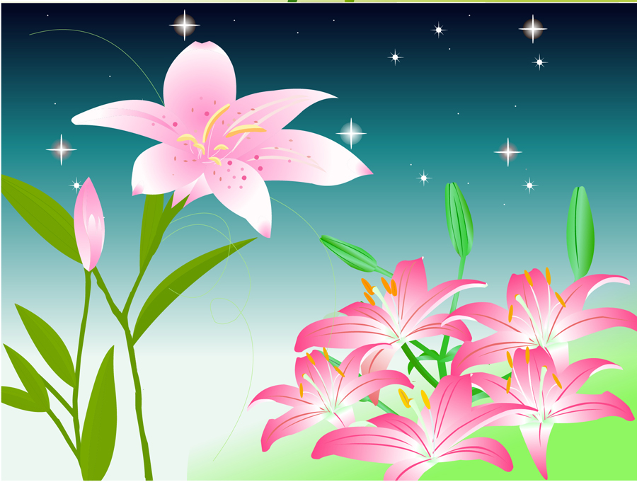 B2254-时尚简约-花朵-百合花(3)