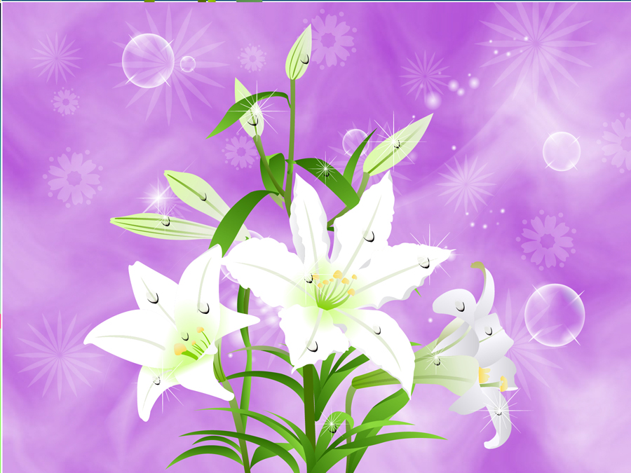 B2254-时尚简约--花朵-百合花(4)