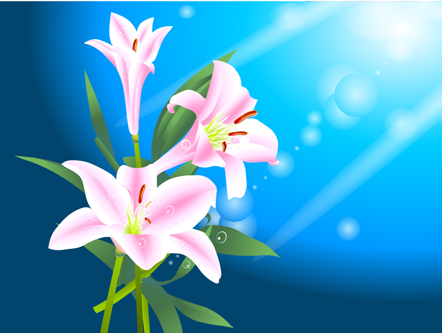 B2254-时尚简约-花类-百合花(2)