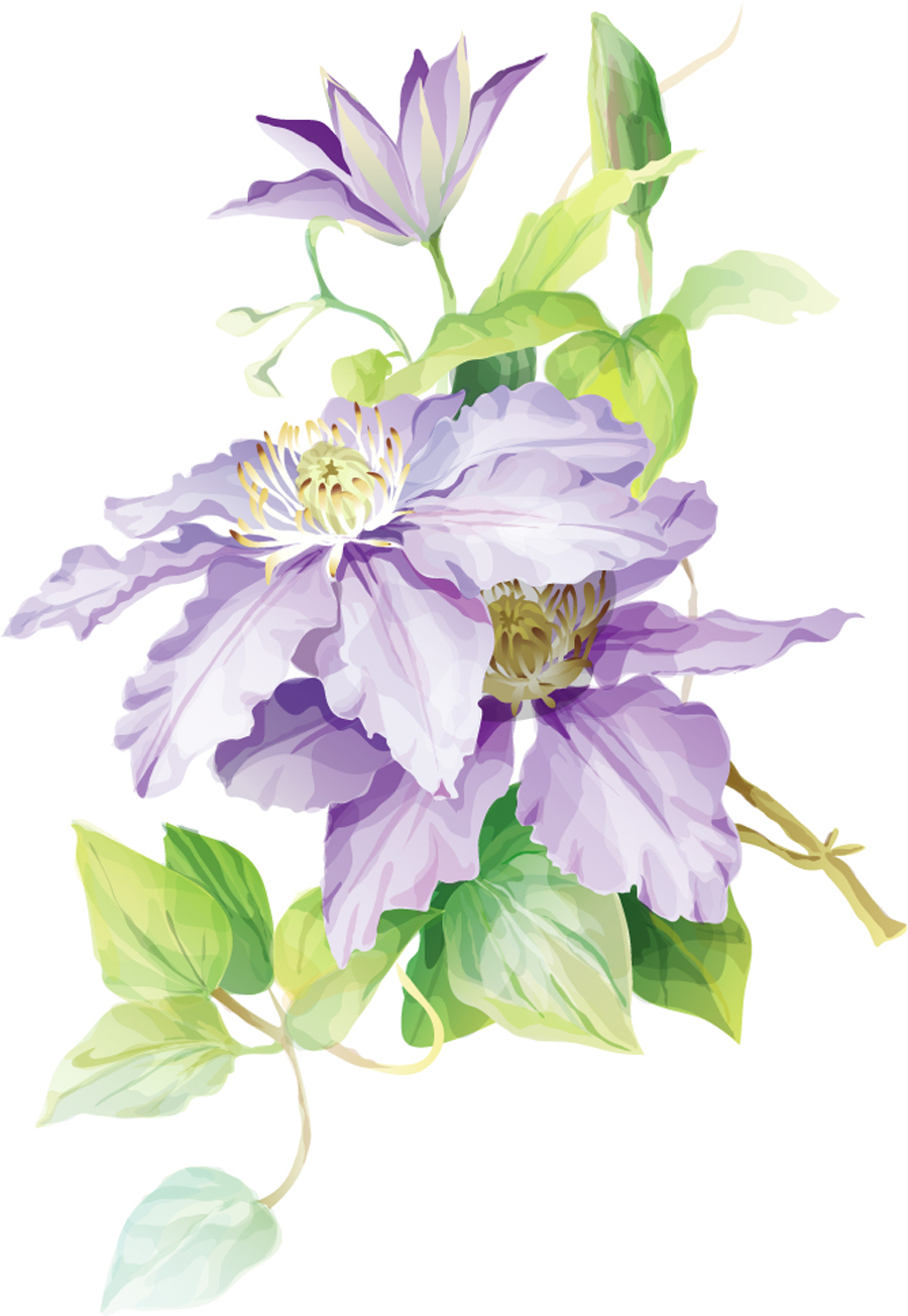 B2295 -时尚简约-梦幻背景-百合花