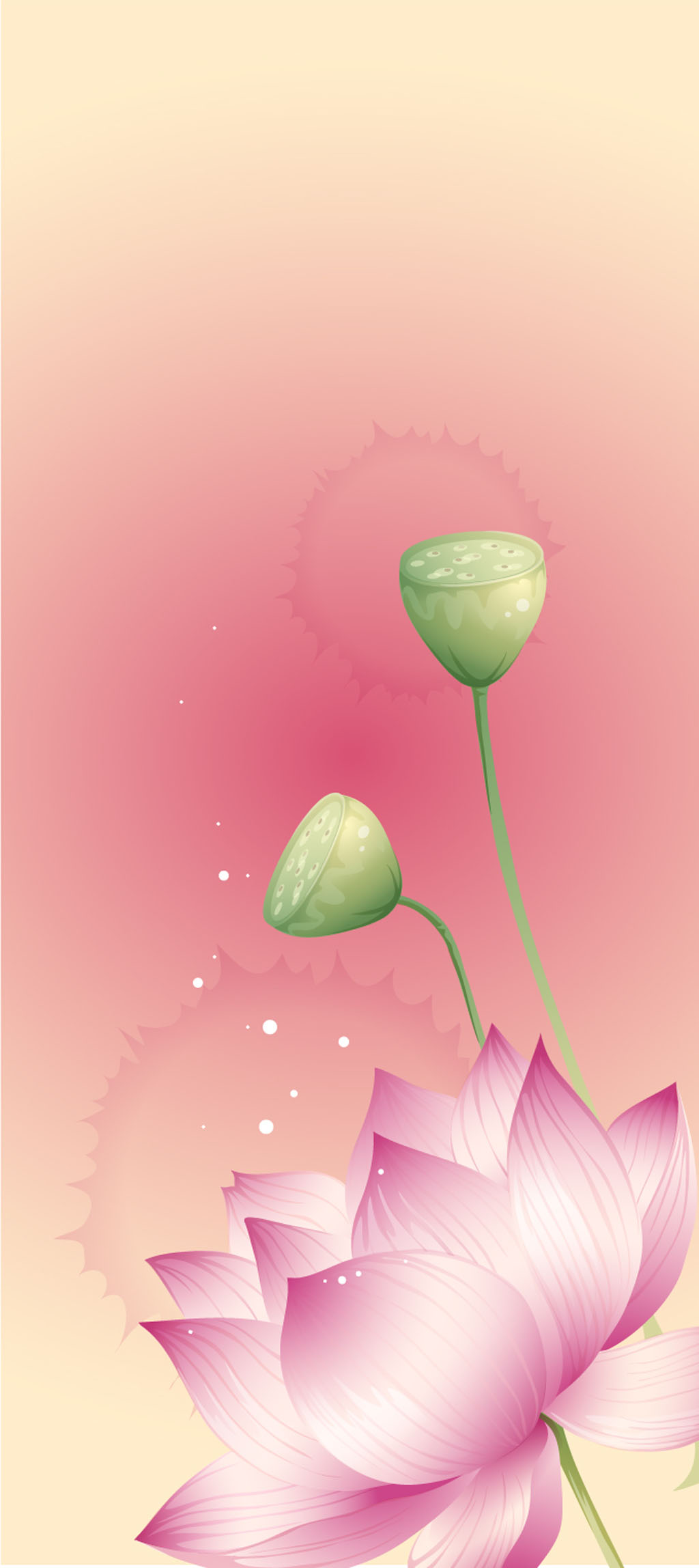 A009765-时尚简约-手绘 荷花 (2)