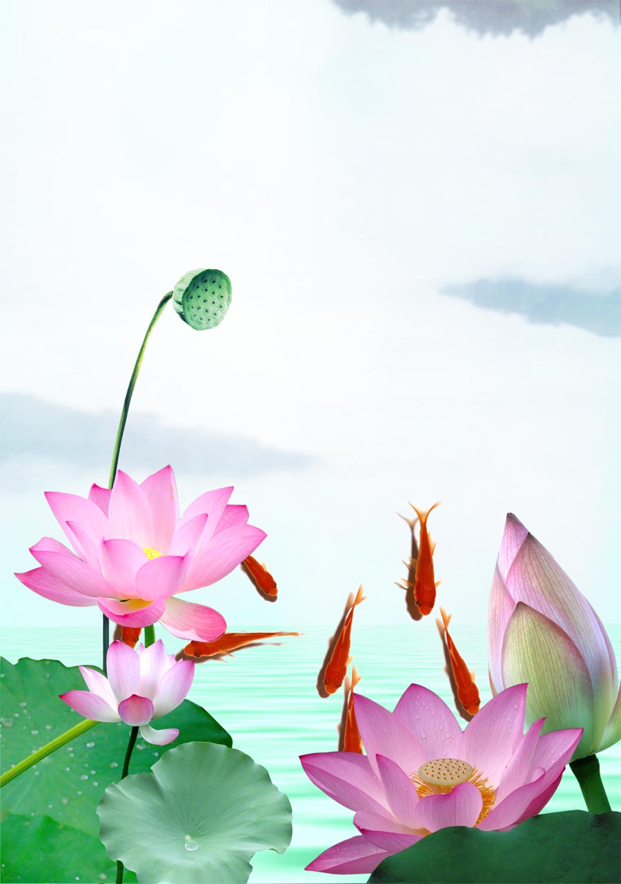 A010613-时尚简约-花类-花朵 花朵摄影 荷花