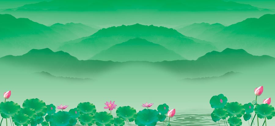 A010623-时尚简约-花类-花朵 花朵摄影 荷花