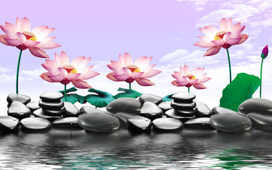 A013638-时尚简约-花类-荷花