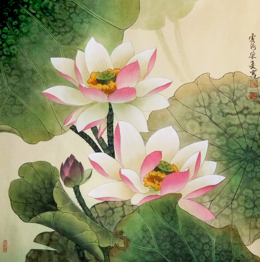 B4453-时尚简约-手绘 荷花