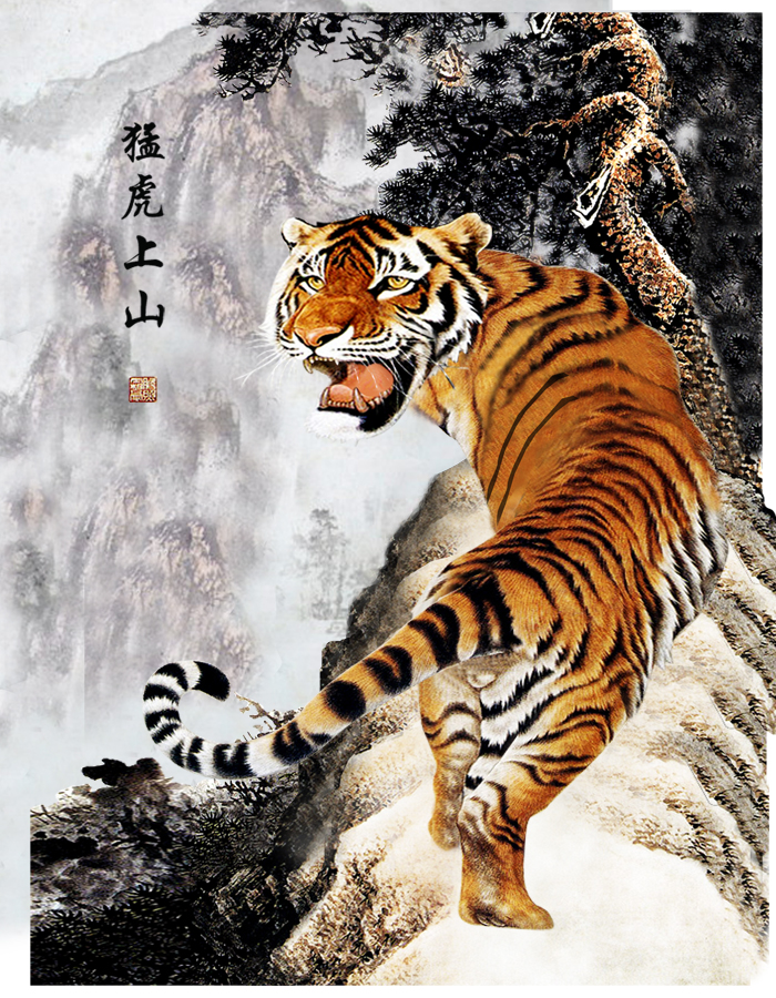 B4574-中式风韵-国画高山松树 老虎