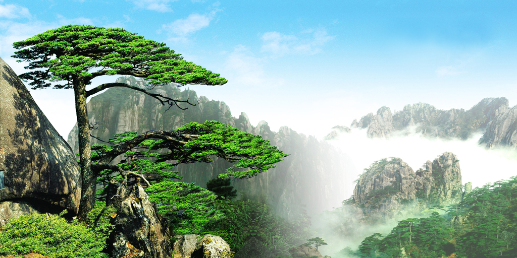 f2015中式风韵 松树