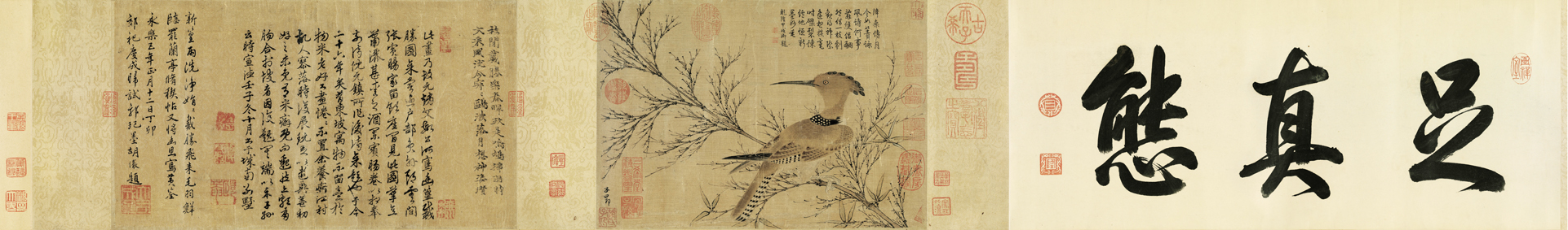 A001485中式风韵-长卷字画-元 赵孟頫 幽篂戴胜图