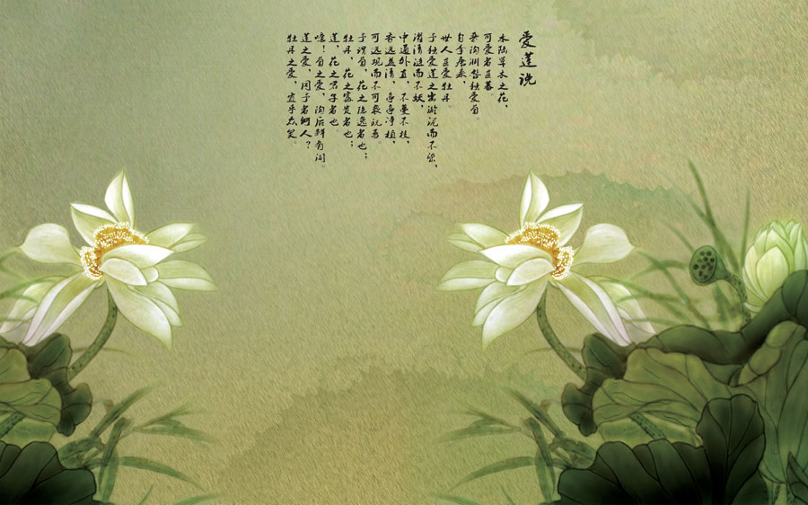 A013754-280中式风韵-荷花