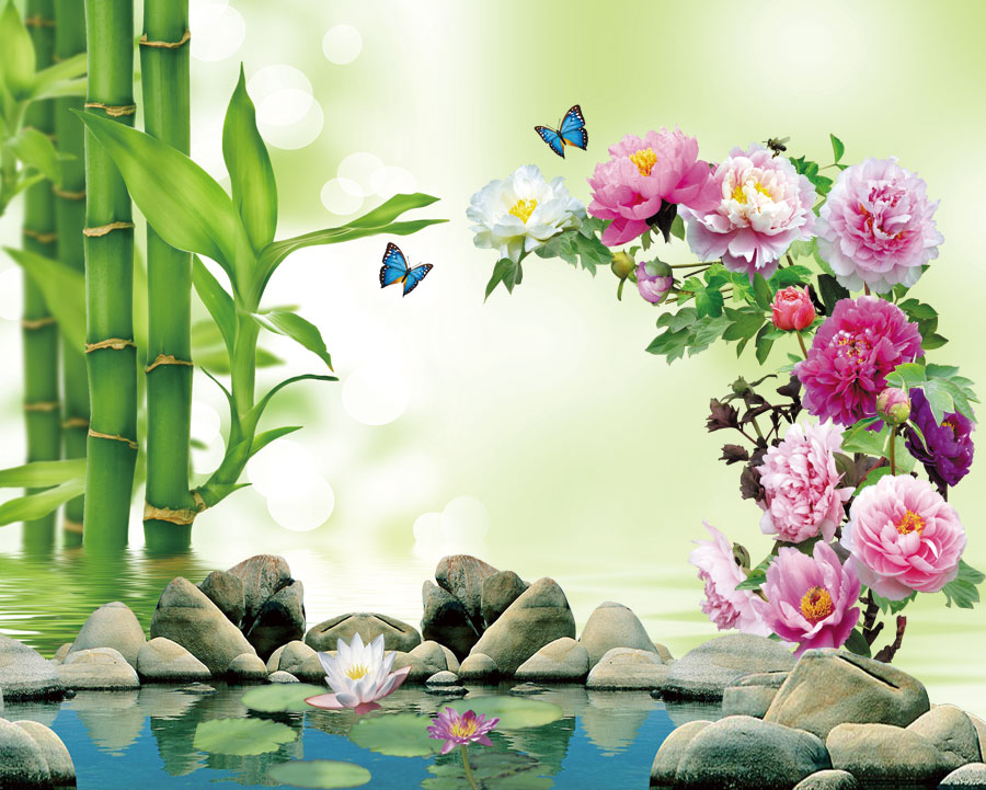 A039965-竹子-荷花-