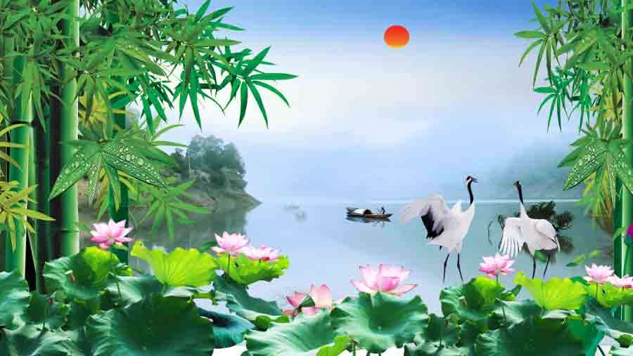 A008686-自然风景-湖水 荷塘 竹子