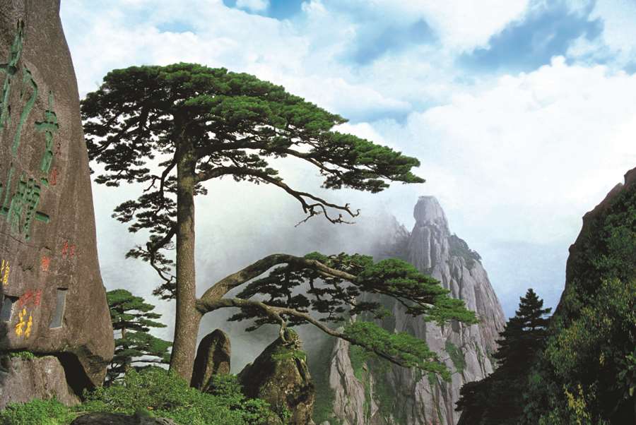 A011507-自然风景-迎客松