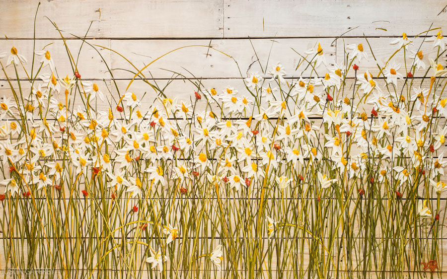 A014507-浮雕-油画花