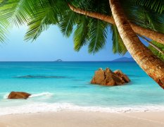 A043685-自然风景-海边风景椰子树