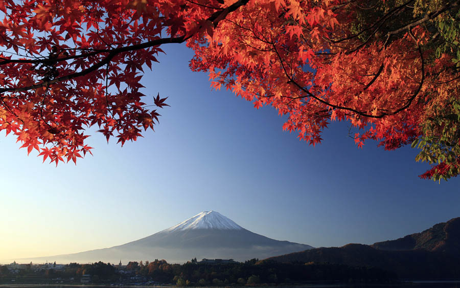 A011537-自然风景-枫叶-富士山