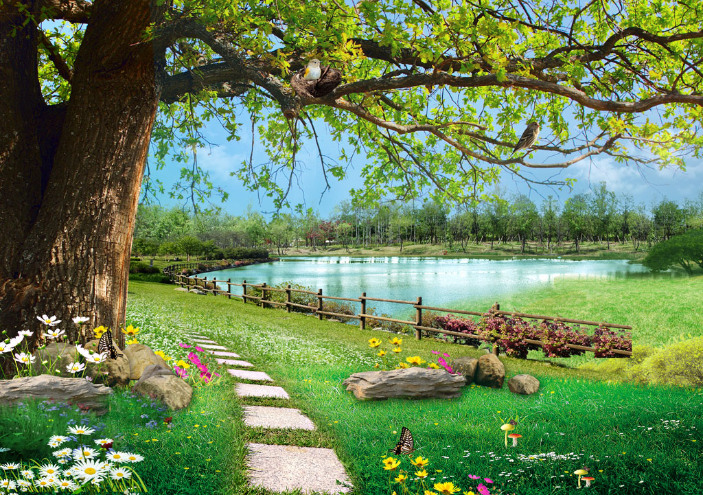 A051397自然风景大树-草地小花-湖泊