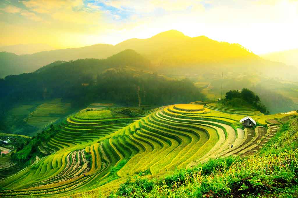 A055713线条-风景-梯田