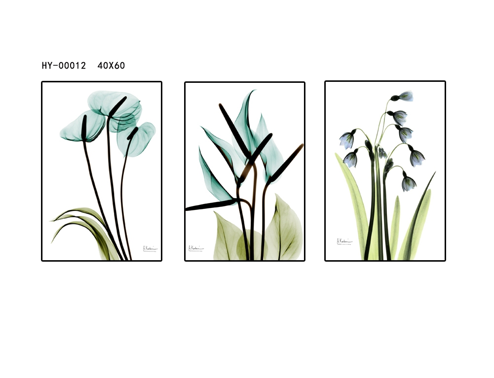 HY-00012  40X60