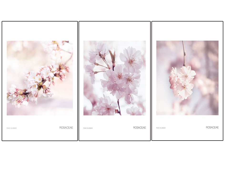 HY-00253 40X60