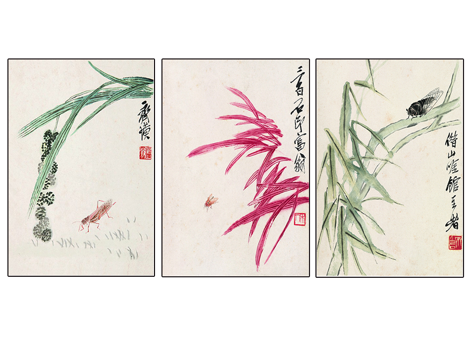 HY-00302 40x60