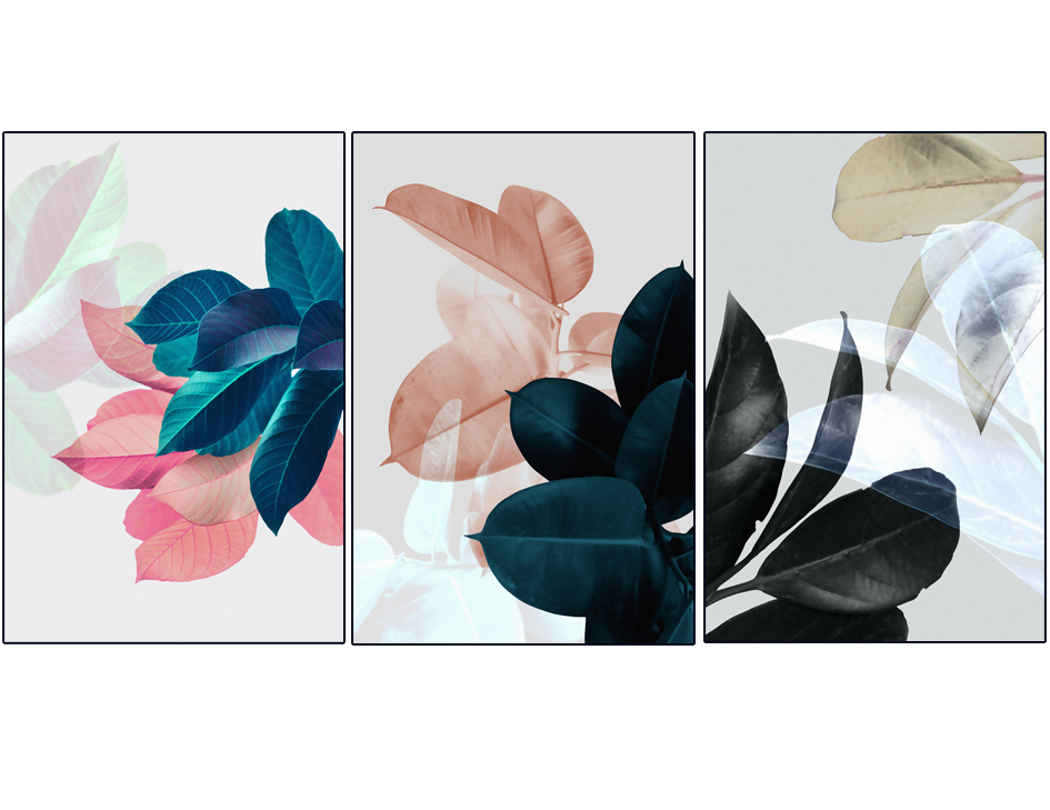 HY-00328 40x60